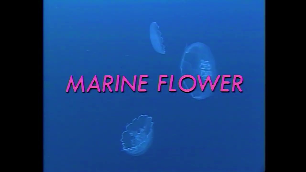 Marine Flower / Science Fantasy - Akira Ito (1986) [Full LaserDisc