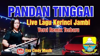 PANDAN TINGGAI - LIVE COVER - LAGU KERINCI - VERSI REMIX TERBARU - TANGAIH DIBUDAREA  SI AYIMATO 😭