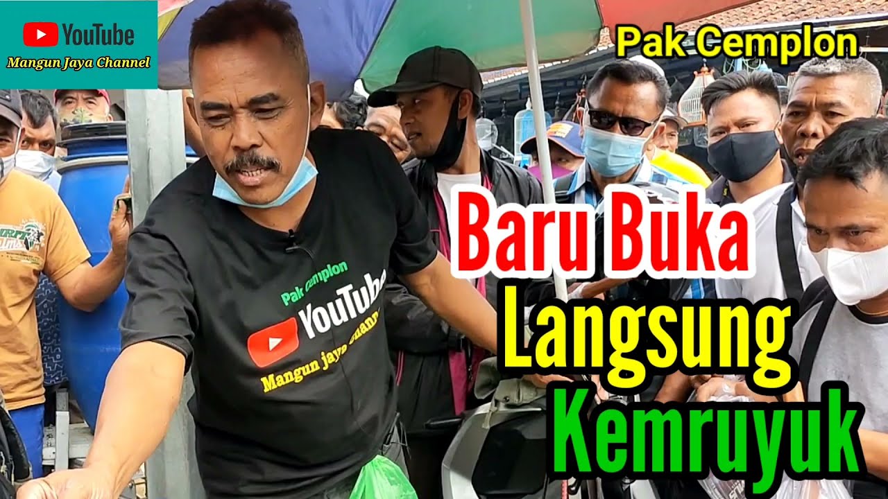 Baru Buka Langsung Kemruyuk