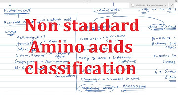 7. Non standard amino acids classification