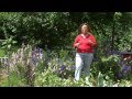 Raising Backyard Chickens -- MOTHER EARTH NEWS Raising Backyard Chickens -- MOTHER EARTH NEWS