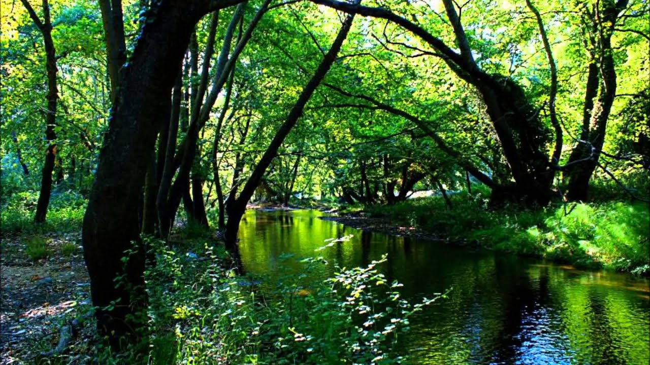 ΒΑΣΙΛΗΣ ΣΕΡΜΠΕΖΗΣ-ΤΖΕΛΕΠΗΣ ΚΩΣΤΑΣ κλαρίνο - ΖΩΝΤΑΝΗ ΗΧΟΓΡΑΦΗΣΗ -ΕΠΙΤΡΑΠΕΖΙΑ