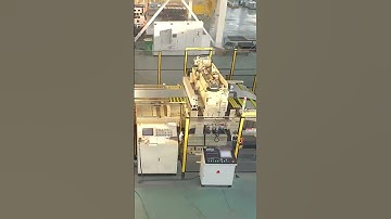 Dynamic Oscillating Cut To Length Line: For Perfect Irregular Blanks