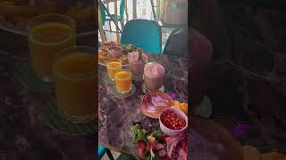 Miss B Coffeeshop Breakfast Amsterdam