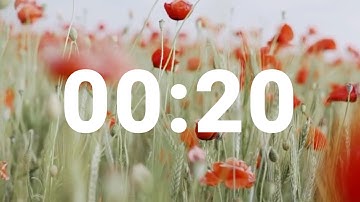 20 Second Timer with Relaxing Music and Alarm, Countdown Clock for Stress Relief