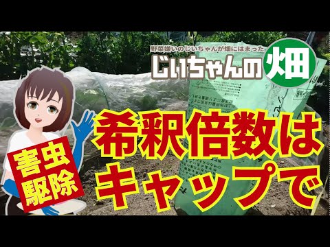 害虫スプレーの希釈量をペットボトルのキャップで計量 夏野菜の大敵 ウリハムシとアブラムシ テントウムシダマシの忌避剤駆除剤の希釈計量方法 Youtube 害虫スプレーの希釈量をペットボトルのキャップで計量 夏野菜の大敵 ウリハムシとアブラムシ テントウムシダマシの忌避剤駆除剤の希釈計量方法 Youtube