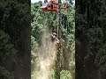 is it helpful or not #chainsaw #wood #youtubeai #woodworking #machine #tree