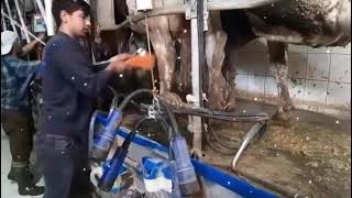 Meme Temizleme Sistemi