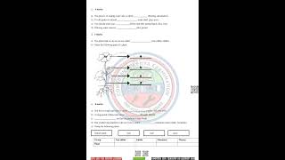 Grade 3 Mid Term 1 2026 Environmental Activities Exam