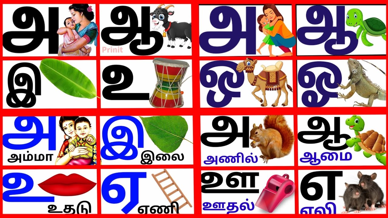 #உயிர்எழுத்துக்கள்|அ ஆ இ ஈ | learn Tamil alphabets litters|@prinit1419 ...