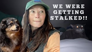 I live out of my car: WE WERE GETTING STALKED!