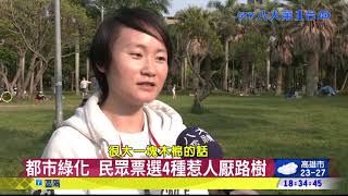 ▼都市綠化 民眾票選4種惹人厭路樹 八大民生新聞 2021040515