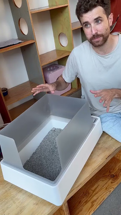The Truth About Enclosed Litter Boxes