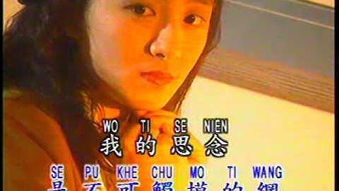 心雨 Xin Yu (優必勝 U-Best Production)