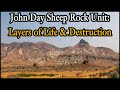 John Day Sheep Rock Unit: Layers of Life & Destruction