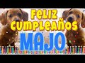 ¡Feliz Cumpleaños Majo! (Perros hablando gracioso) ¡Muchas Felicidades Majo!