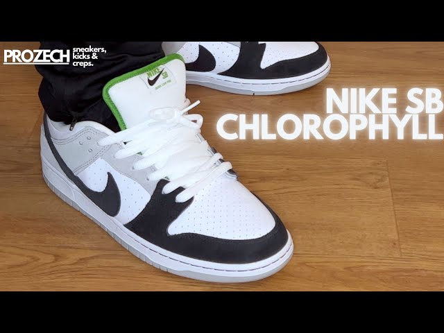 chlorophyll dunks
