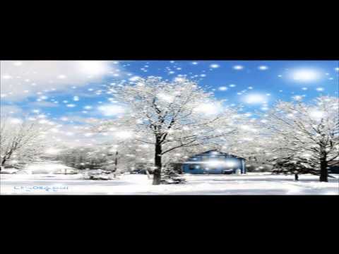 Видео: Коледно дърво - дърво на смъртта - Алтернативен изглед