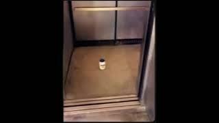 mayonnaise in an elevator full song