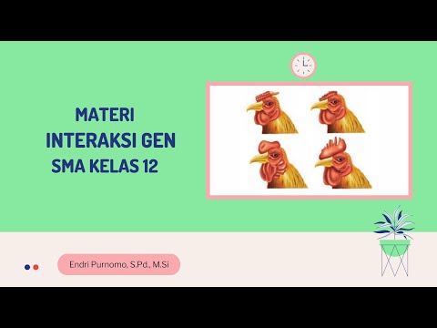 Video: Efek Dan Interaksi Alel Gen Kematangan Kedelai Mengendalikan Waktu Berbunga, Kematangan, Dan Adaptasi Di Lingkungan Tropis