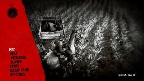 Red Dead Redemption 2 Bug - Invisible Enemy