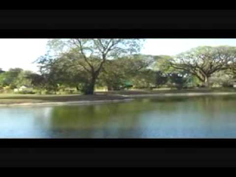Angeles Philippines Hotels: Good picnic grounds at...