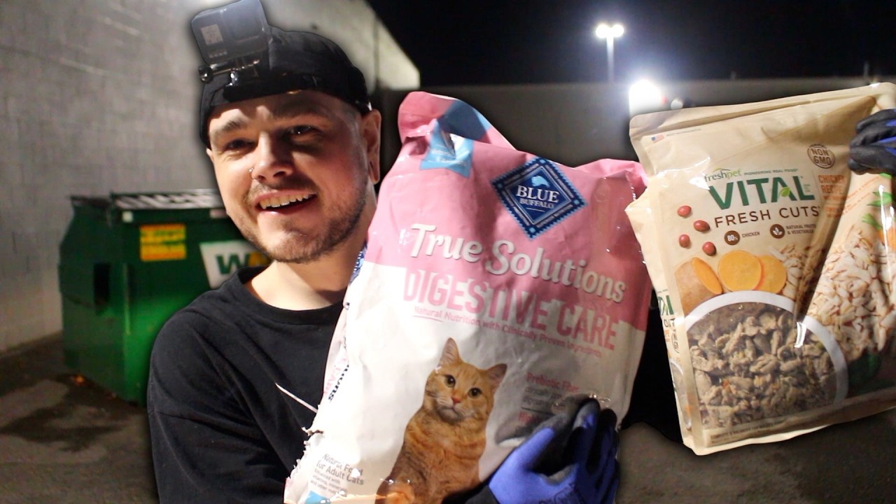 I Found A Year’s Worth of Coffee and Cat Food While Dumpster Diving!