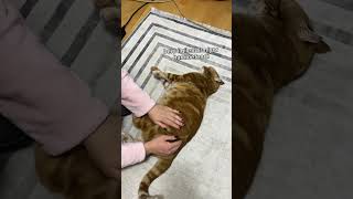 Günlük Dozunu Almayınca Olay Çıkarıyo