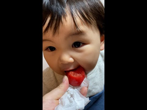 今まで食べなかったトマトを急に丸かじりし出した1歳3ヶ月