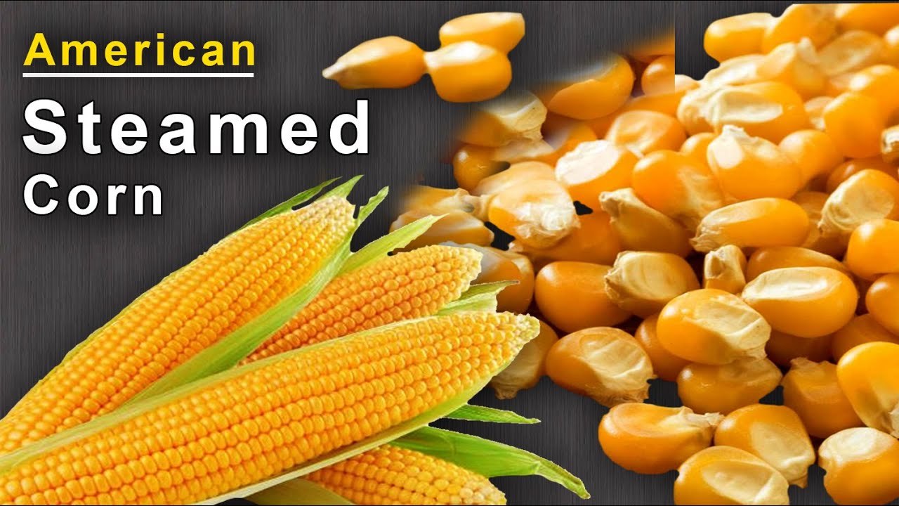 American Boiled Corn Steamed Corn Food Street Corn American