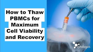 How to Thaw PBMCs for Maximum Cell Viability and Recovery