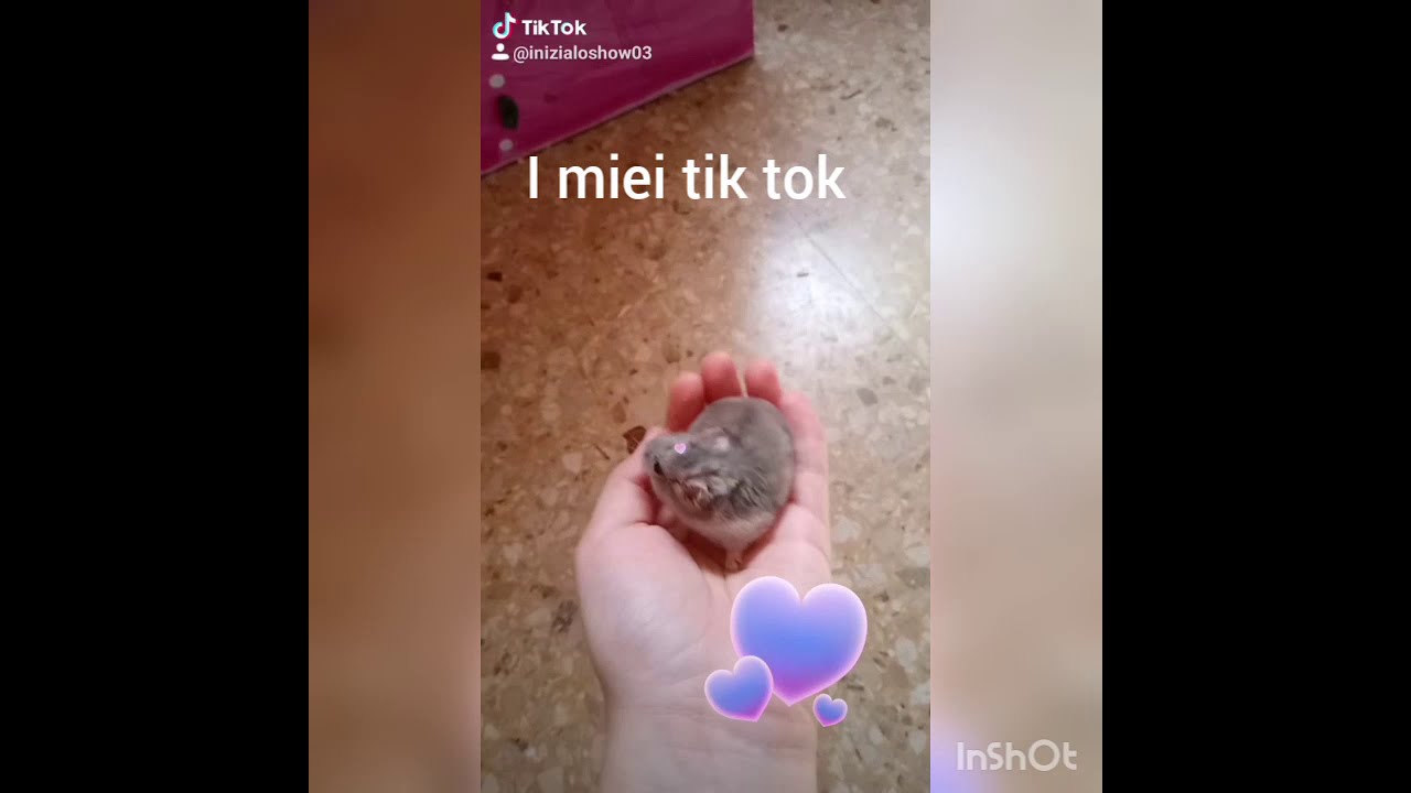 mia belle tik tok nude mia belle tik tok nude