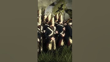 New Aiming Pose For Napoleon Total War V2 (Eras Mod) #napoleon #history #napoleontotalwar