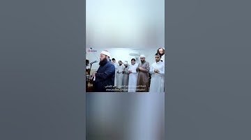 تلاوة جميلة للغاية مما تيسر من القرآن الكريم | الشيخ ياسر القرشي