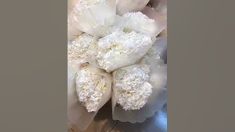 preserved hydrangea wreaths live preserved hydreangea flower wedding hydrangea