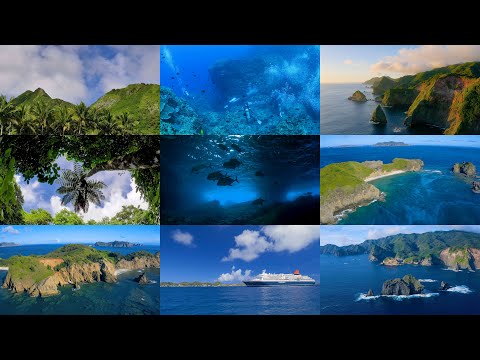世界自然遺産小笠原諸島 自然と歴史文化/朝倉書店/東京都立大学小笠原研究委員会（単行本） hqdefault.jpg