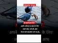 #sad #shayari #alone #boy #viral #short #video