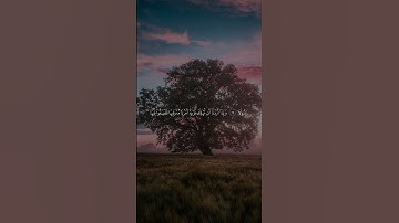 اكتب شيء تؤجر عليه | سورة الإسراء الآية 15-17 القارئ ماهر المعيقلي