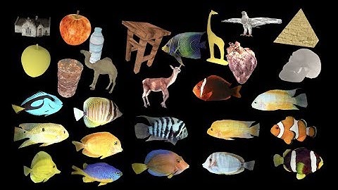 some 3d textured models :  interactive javascript 3d models you can embed for free on your webpages