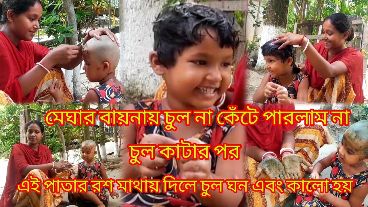মেঘার বায়নায় চুল না কেঁটে পারলাম না , এই পাতার রশ মাথায় দিলে চুল ঘন এবং কালো হয় ।