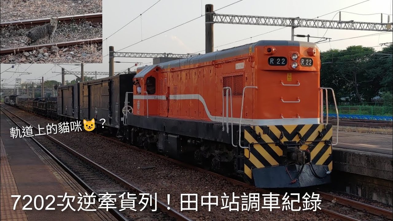7202次逆牽貨列！田中站調車紀錄，軌道貓咪？