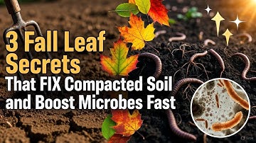 STOP Raking! 3 Fall Leaf Hacks That Supercharge Your Soil Naturally