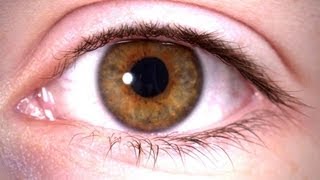 Stem Cells Restore Man's Vision