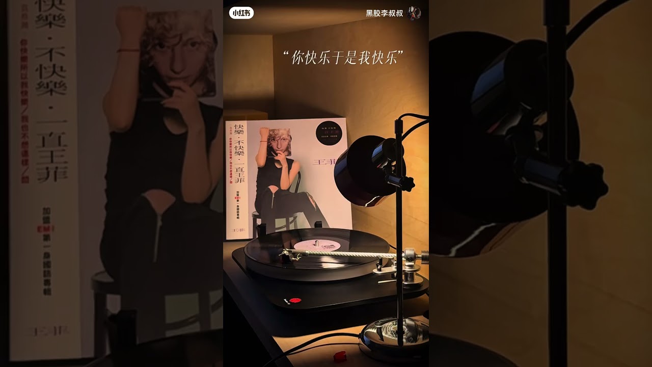 王菲《王菲》黑膠試聽2 -〈你快樂(所以我快樂)〉