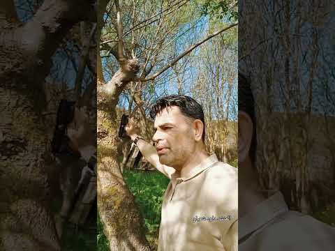 المنشد داوود شعبان أروع العتابات