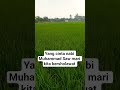 mari kita terus bersholawat