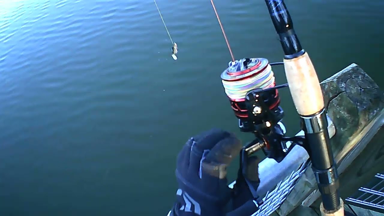RUNCL Titan II 6000 Spinning Reel On Water Testing