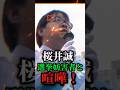 桜井誠の演説中にヤジを飛ばした選挙妨害者と喧嘩！