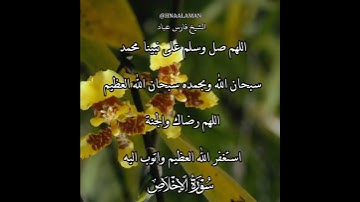 سورة الإخلاص | الشيخ فارس عباد،استغفر الله العظيم واتوب اليه، تلاوه خاشعه(3)