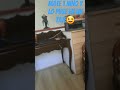 el traje se llama fredy